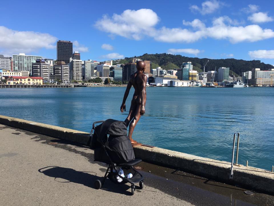 C pram and cover Wellington Harbour